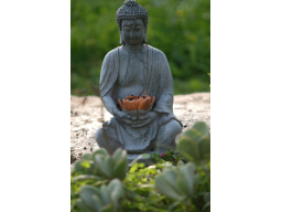Webinar: QuiX© - Coaching - DAS Coaching der besonderen Art