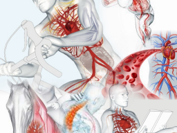 Webinar: Gesund bleiben, fitter älter werden mit BEMER
