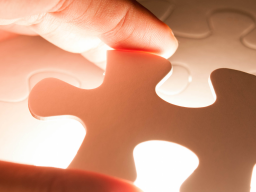 Webinar: Info-Abend zur Ausbildung zum NLP-Master/-Coach