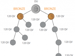 Webinar: Vom Member zum Silberleader!