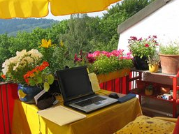 Webinar: Vom Präsenz-Trainer zum Online-Trainer