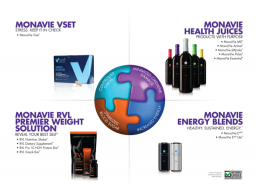 Webinar: MonaVie Success