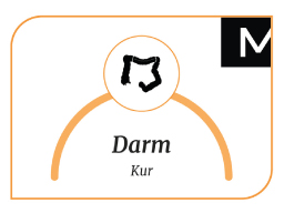 Webinar: Die Magen-Darm-Kur Teil-1 (Wiederholung)