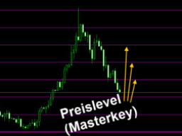 Webinar: ZmL Forex-Trading-Akademie - 8. Preislevel (Masterkey)