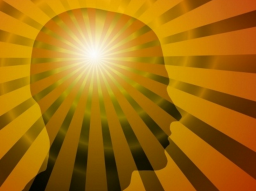 Webinar: The Secret Workshop 4 Dienstag je 1 Stunde