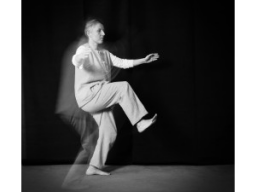 Webinar: Tai-Chi-GODO® Teil 8