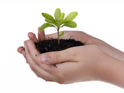 Webinar: Modul 3: Wachstum und Balance mit Engpassbeseitigung