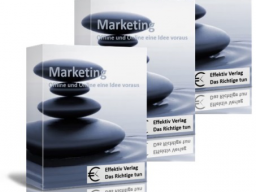 Webinar: Speed-Webinar: Auch ohne Google Tausende von Besucher