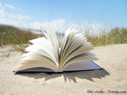 Webinar: Wie aus einer Idee ein Buchkonzept wird