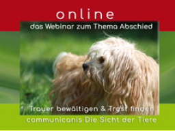 Webinar: Abschied aus tierischer Sicht