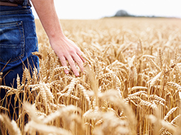 Webinar: Akquise + Farming