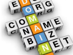 Webinar: Die (R)evolution im Domainmarkt
