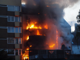 Webinar: Aufbau der Feuerwehr Domstadt