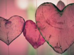 Webinar: Eine harmonische Beziehung leben