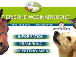 Webinar: Mykotherapie bei Tieren (Anne Sasson)