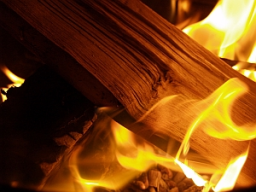 Webinar: Element Feuer - der Sommer kommt