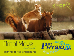 Webinar: Grundlagen zur Amplimove Therapie