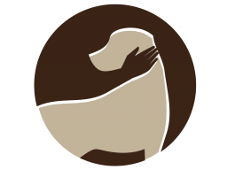 Webinar: Frage - Antwort - Webinar