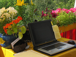 Webinar: Wie du mitreißende Webinare gestaltest