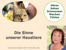 Webinar: Die Sinne unserer Haustiere