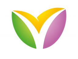 Webinar: Schnuppertermin BVL