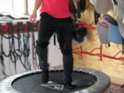 Webinar: Trampolin für Reiter - Centered Riding