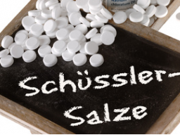 Webinar: Schüßler Salze bei Haustieren anwenden Teil 1