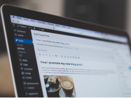 Webinar: WordPress Fragerunde