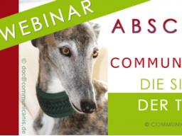 Webinar: Abschied aus tierischer Sicht