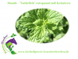 Webinar: Hunde - "Natülich" entspannt mit Kräutern