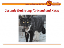 Webinar: Gesunde Ernährung für Hunde und Katzen