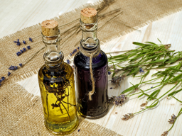 Webinar: Aroma-Öle für Hunde