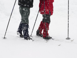Webinar: Praxissprechstunde Winterzeit gleich Fußzeit