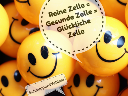 Webinar: Reine Zelle = Gesunde Zelle = Glückliche Zelle