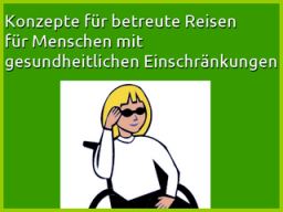 Webinar: "INFOVERANSTALTUNG DIE REISEBEGLEITER"