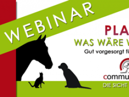 Webinar: Plan B - was wäre wenn ?