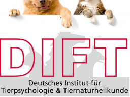 Webinar: Ausbildung Ganzheitlicher-Ernährungsberater für Hund & Katze inkl. B.A.R.F.