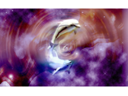Webinar: meditation