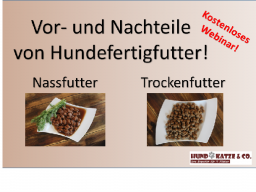 Webinar: Einführungsseminar: Vor- und Nachteile von Hundefertigfutter