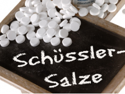Webinar: Schüßler Salze bei Haustieren anwenden Teil 2