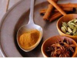 Webinar: Mit Ayurveda gesund durch Herbst und Winter