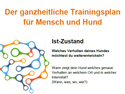 Webinar: Entwickle deinen individuellen Trainingsplan