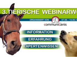 Webinar: Ich dachte Du bist anders !