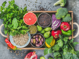 Webinar: "Richtig - Vegan"