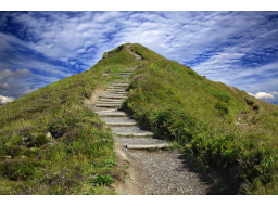 Webinar: Zufriedener im Job 2014 durch optimale Wertbalance