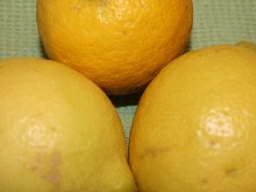 Webinar: VITAMIN C - 1. Teil