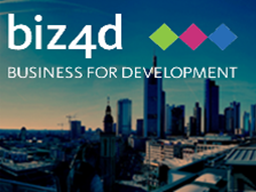 Webinar: Struktur und Qualität erfolgreicher Mentoring-Programme