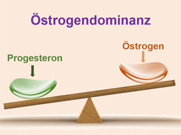 Webinar: Harmonie der Hormone-Was jede Frau ab 30 über Östrogendominanz wissen sollte