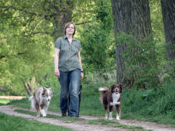 Webinar: "Von Hunden lernen" Teil 2