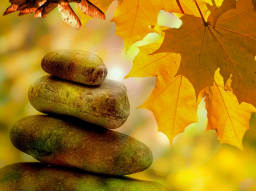 Webinar: mentales Ressourcenmanagement